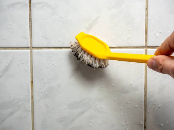 Home Mold Removal in East San Gabriel, CA